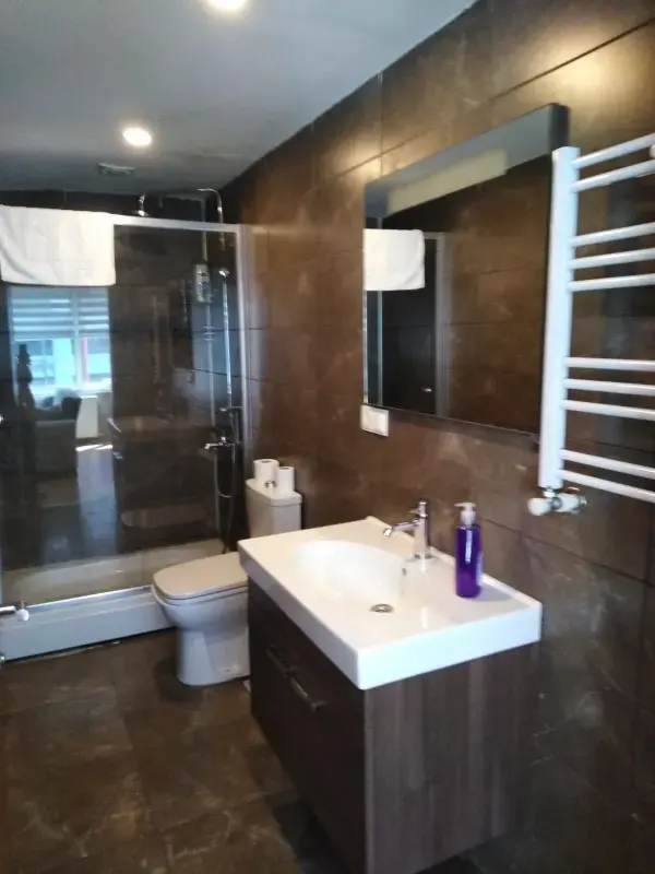Alternative bathroom design with glass shower and elegant sink